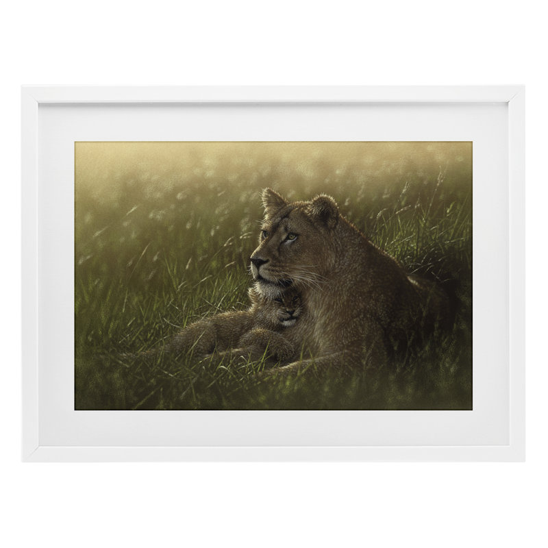 «Safe Haven Lion Cub», reproduction encadrée sous verre, conception de Collin Bogle, H 14 po x l 20 po, Cadre blanc côtier