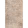 Bartels Abstract Indoor Rug