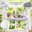 Grand perchoir sans fil pour chat à installer à la fenêtre, coussin réversible moelleux et ventouses