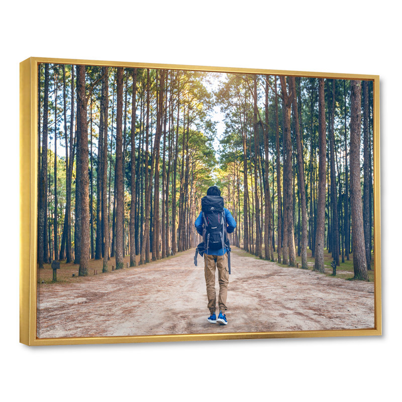 «Wilderness Forest Hike» sur toile, Cadre flottant doré, H 12 po x l 20 po x P 1 po