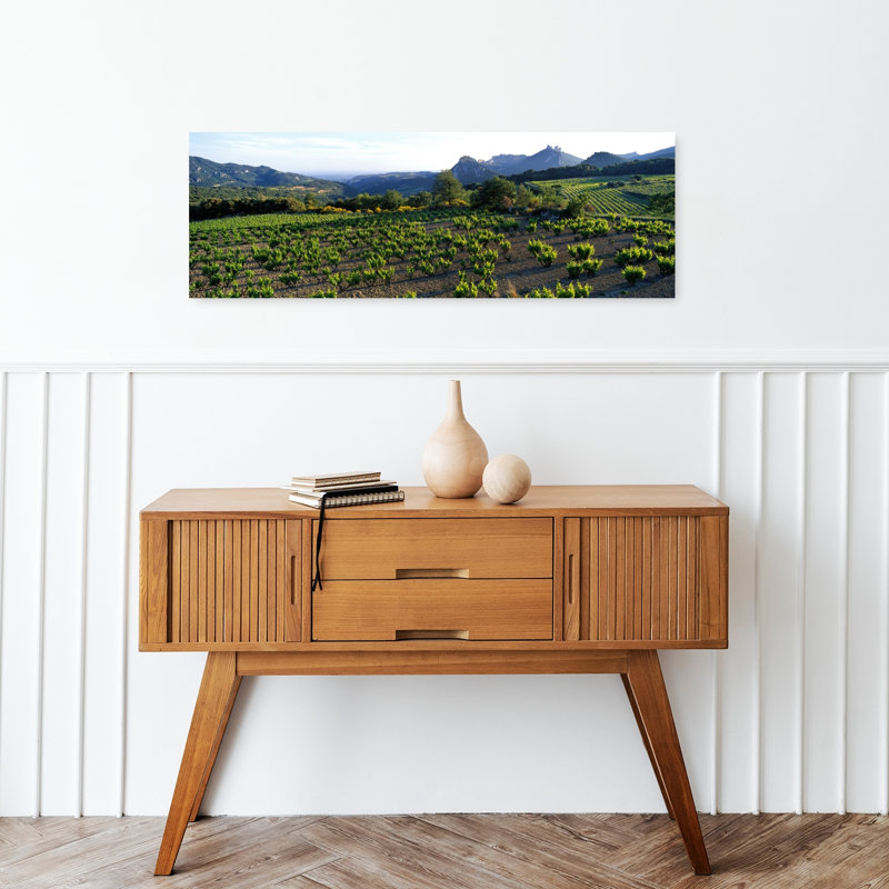 «Vineyard Dentelles De Montmirail», art contemporain contemporain, H 12 po x l 36 po