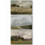 Paysage rustique, matin, ciel nuageux, nature, paysage, paysage sauvage, illustrations - 3 pièces-100136294-100136291