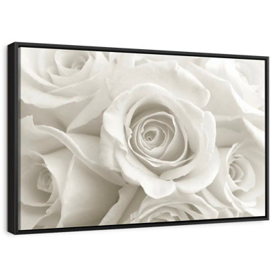 Roses blanches pures