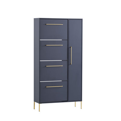 Bansil 25 Pair Shoe Storage Cabinet