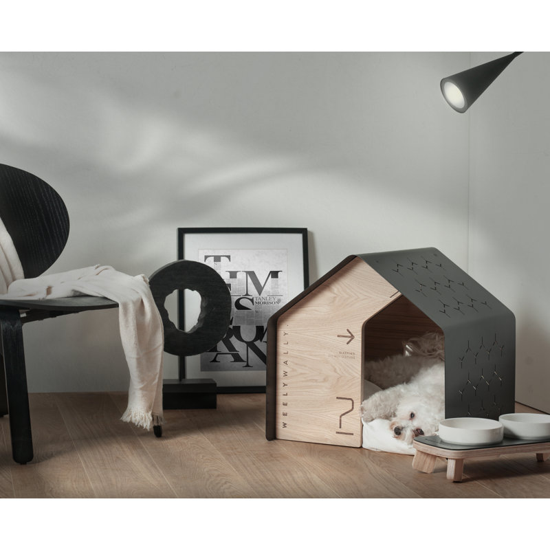 Dog House