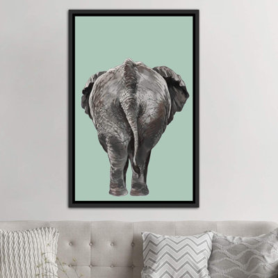 Animals