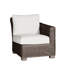Rustic Patio Lounge Chair with Cushions-1110726824-1172305664-1147648280