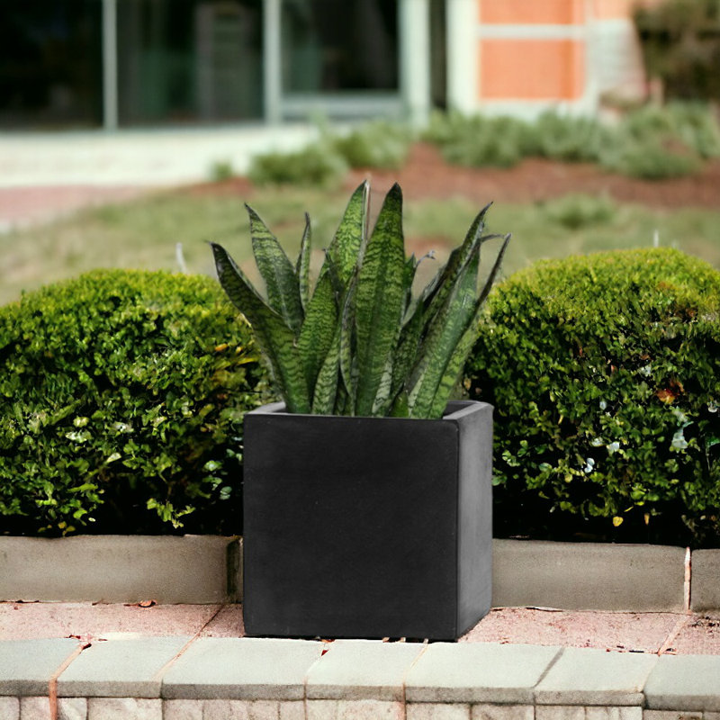 Dinalee Handmade Planter Box, Black