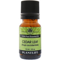 Woodlore Cedar Spray