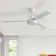 Forgan 52'' Ceiling Fan