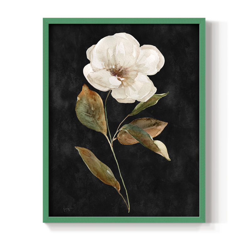 «Botanical on Black Wash I», reproduction encadrée - bois massif, H 30 po x l 24 po, Vert