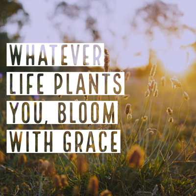 " Inspirational Motivation Quote " by Happydancing