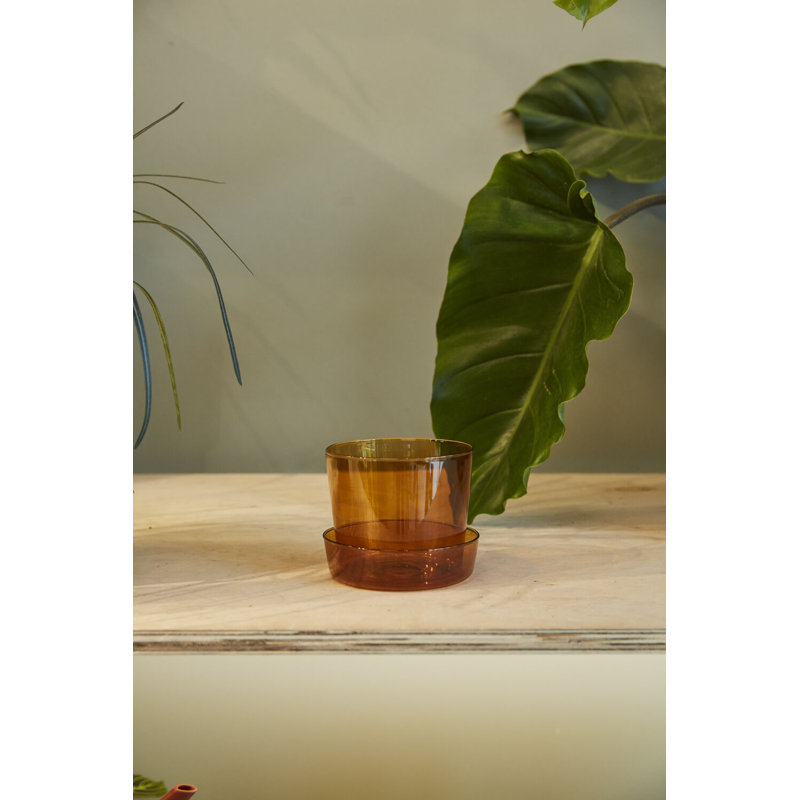 Callio Glass Pot with Saucer, 4" H x 4.75" W x 4.75" D