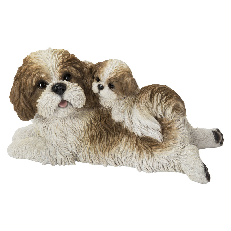 Mère et bébé Shih Tzu
