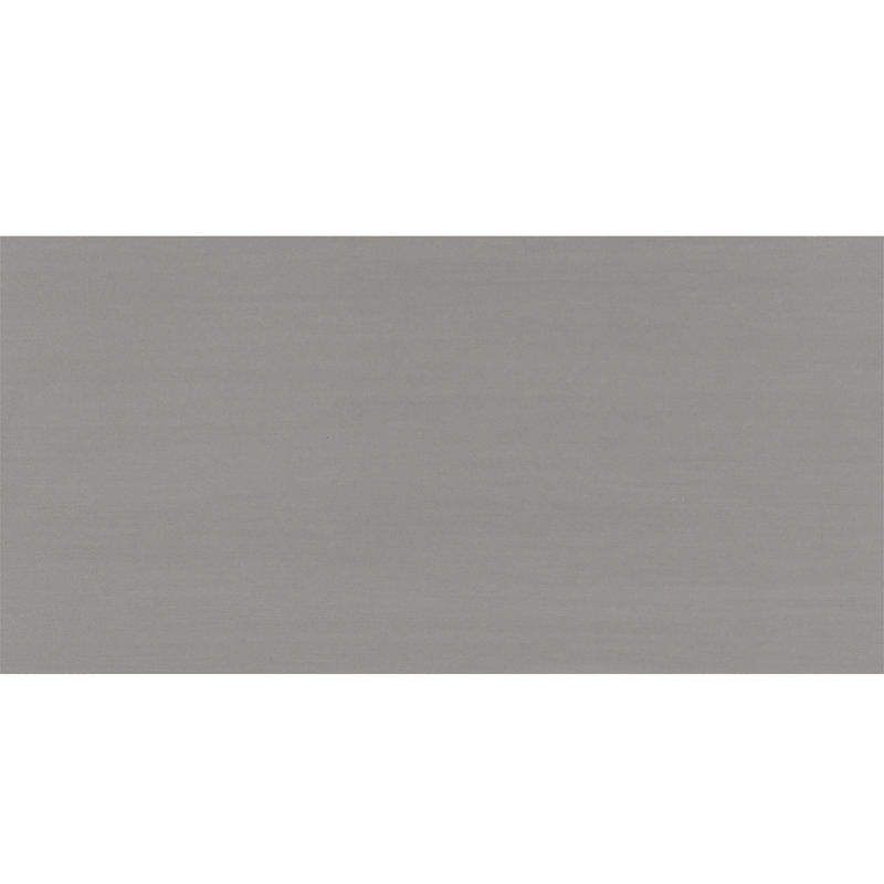 Refinery 12'' W x 24'' L Porcelain Singular Tile, Ember
