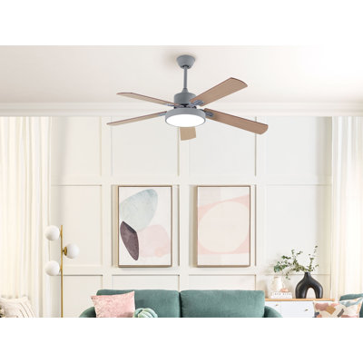 Arsav 130cm Ceiling Fan with LED Lights
