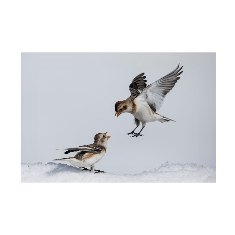 Alberto Carati Heated Discussion Canvas Art, H 12 po x l 19 po