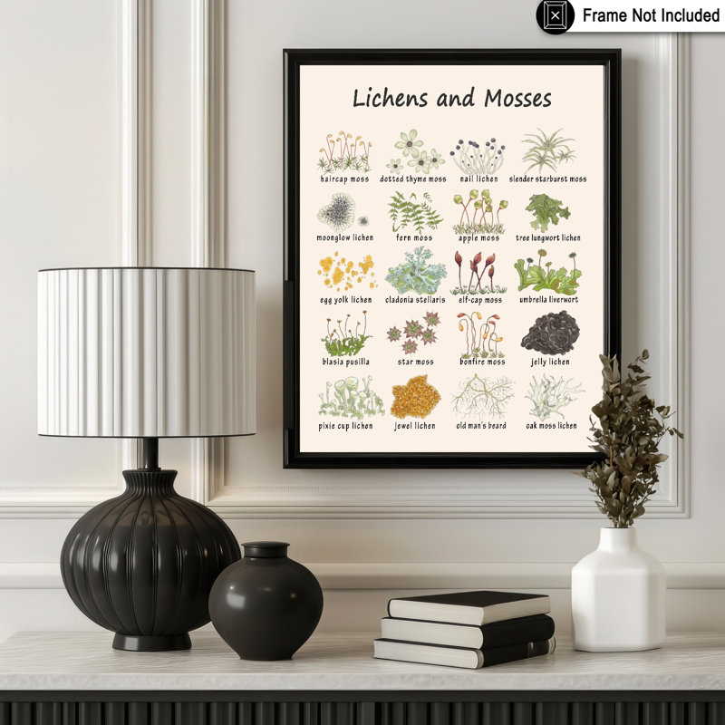 Lichens et mousses, Unframed, Poster, 08"H x 10"W