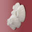 Art mural Paleo Barnacle-459171458