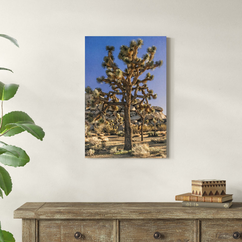 Vue de Joshua Tree II, H 30 po x l 20 po x P 1,25 po