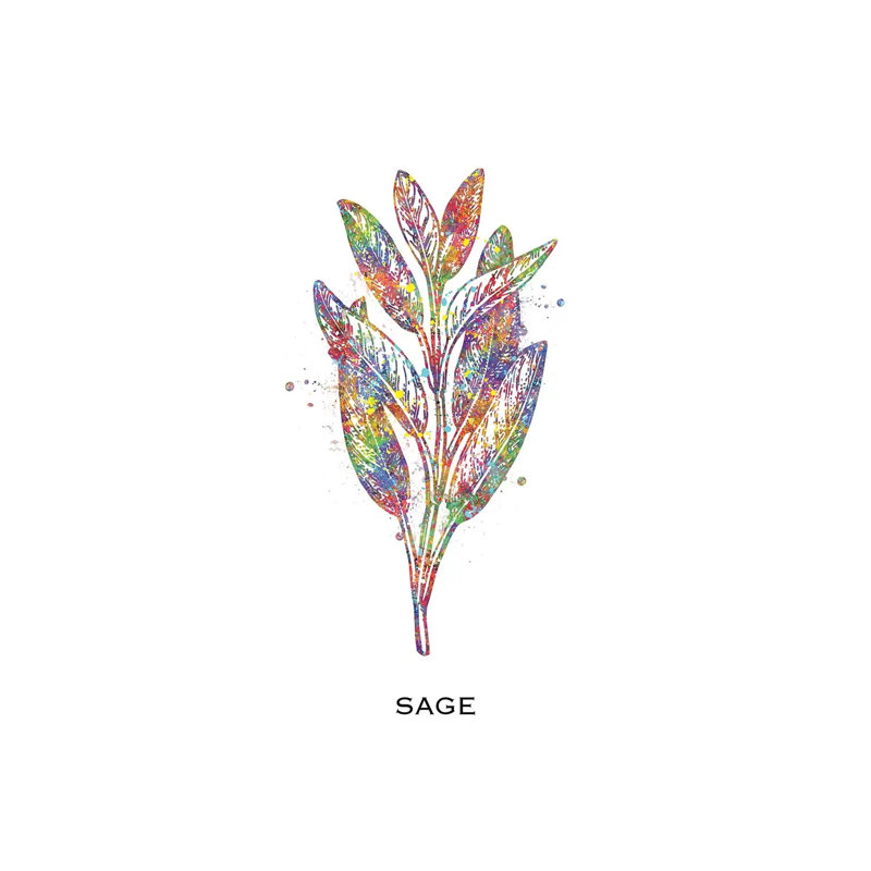 Sage 1 Piece Wrapped Canvas Wall Art, 20.32 cm H x 30.48 cm W