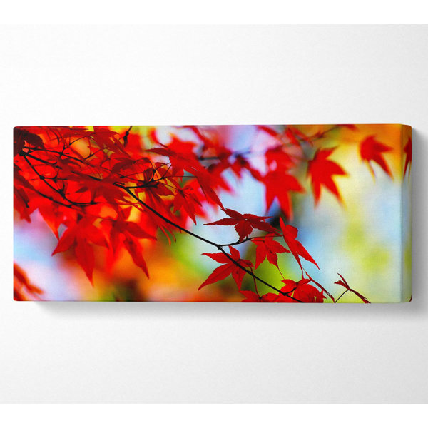 Ebern Designs Red Leaves In The Winter Sun - Wrapped Canvas Panoramic ...