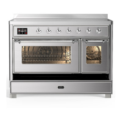 Majestic III Series 48 Inch Induction Range with 6 Induction Elements in Matte Graphite (Brass Trim)