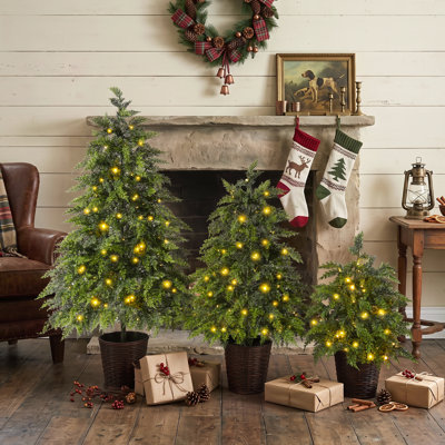 Ensemble de 3 sapins de Noël en pot pré-illuminés Everglow, 60 cm, 90 cm et 120 cm.