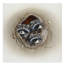 «Raccoons in Hole», reproduction de peinture acrylique sur toile tendue-33527812