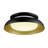 Matte Black LED Integrated Flush Mount