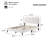 Queen Size Bed (White)