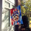 Drapeau patriotique de la maison américaine-112698734