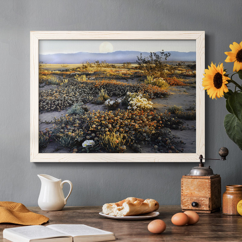 Anza Borrego Desert - reproduction de cadre flottant sur toile, Blanc, H 22 po x l 32 po x P 1,5 po