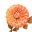 Faux Stem Dahlia Orange 730mm (6pk)-230803433