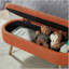 Banc de rangement avec repose-pieds Luxury-635927717