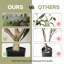 Arbre d'eucalyptus artificiel 5 pi avec pot en plastique noir, plante artificielle en pot réaliste pour la décoration intérieure de bureau à domicile, arbre artificiel vert luxuriant