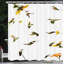 Ensemble de rideau de douche et crochets Hummingbirds-44238319