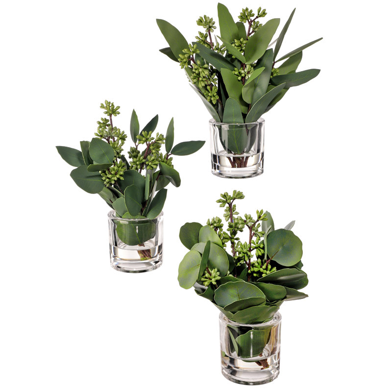 Eucalyptus Arrangement in Jar