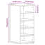 10 Pair Shoe Storage Cabinet