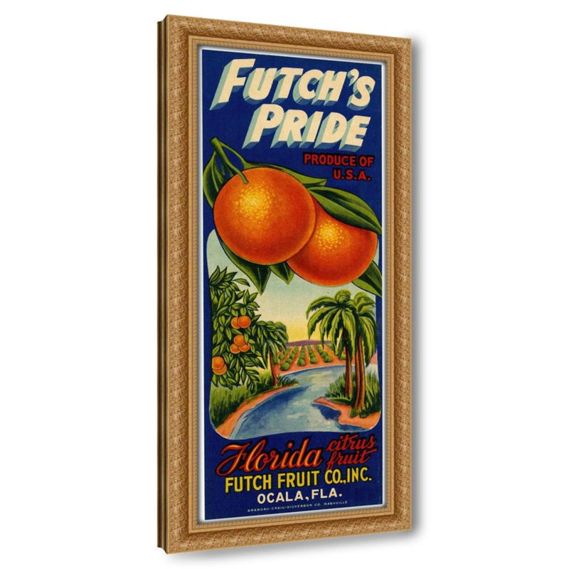 Étiquette d'agrumes Futch's Pride (1930-1950), H 32 po x l 15 po