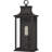 Ahamed Wall Light