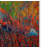 Kucera 'Red Fox 1' Print on Wrapped Canvas-22072988