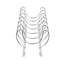 Diviseur d'ustensiles de cuisine Kanhiya Spectrum-21249958