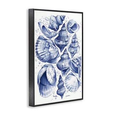 Aquatic Conch Collection Framed Giclee, design by LSR Design Studio