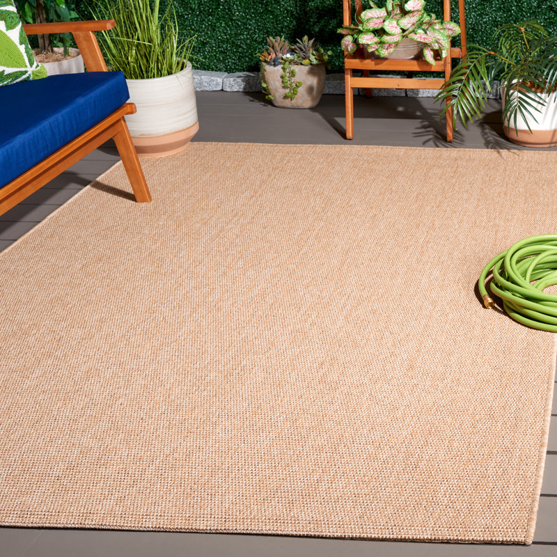 Zyire All-Weather Performance Indoor/Outdoor Area Rug, Rectangle 3' x 5'