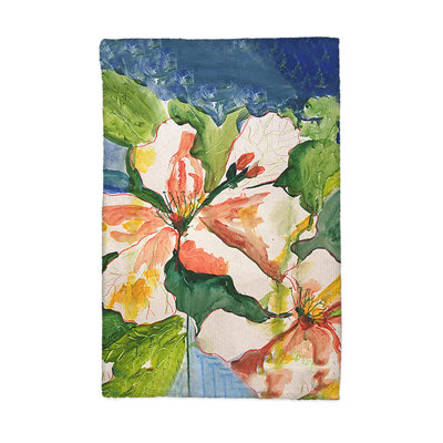 Dish Cloth Kitchen Towel