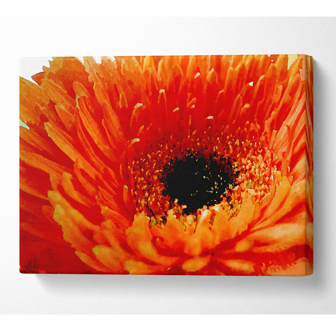 Orange Gerbera Close-Up - Kunstdrucke auf Segeltuch