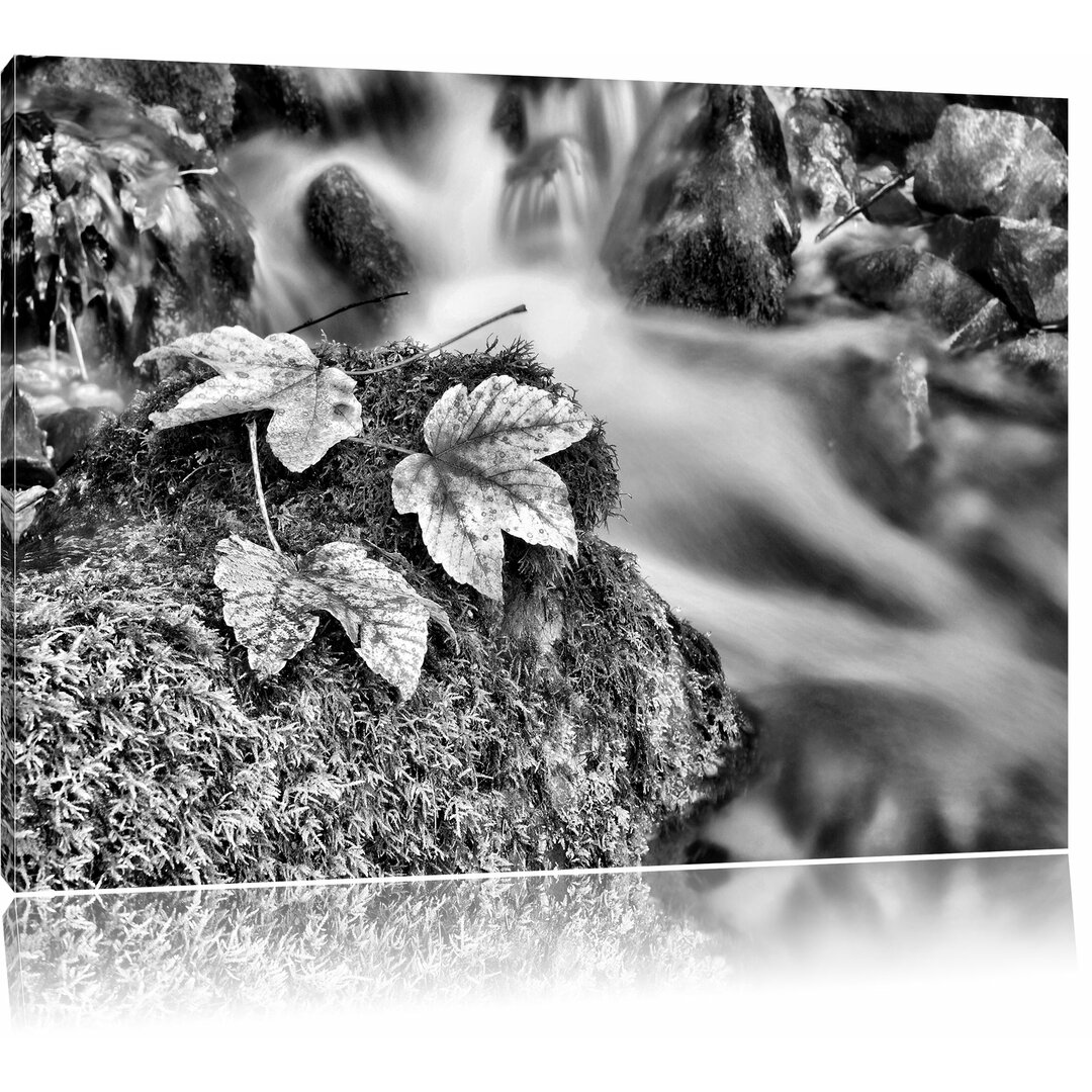 Leinwandbild Herbst Steine bunte Blätter Moos Gräser Wald in Monochrom