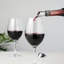 Filtre à vin pour bec verseur