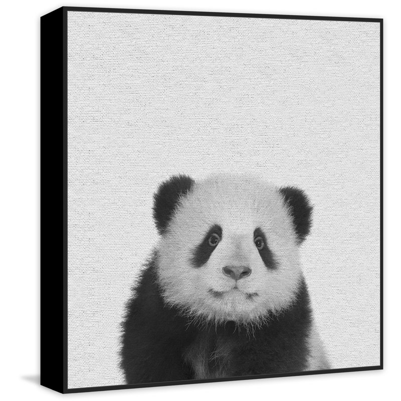 Fluffy Panda II by Marmont Hill - Floater Frame Print on Canvas, 30 cm H x 30 cm W x 4 cm D